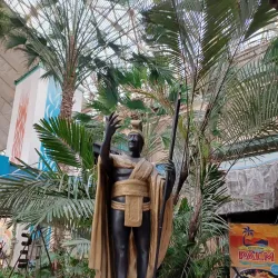 Spa Resort Hawaiians - Fukushima