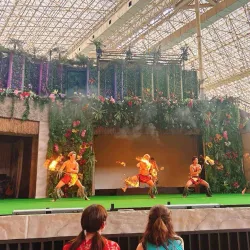 Spa Resort Hawaiians - Fukushima