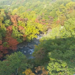 Hachimantai Marshland - Hachimantai