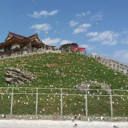 Kabushima Shrine - Hachinohe