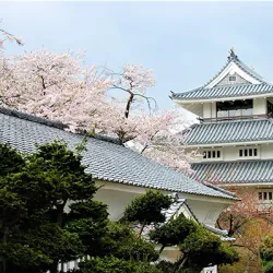 Shiroyama Park - Hachinohe