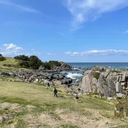 Tanesashi Coast - Hachinohe