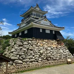 Hamamatsu Castle - Hamamatsu