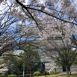 Higashi Osaka City Central Library - Higashi-osaka
