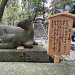 Hiraoka Shrine - Higashi-osaka