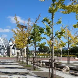 Nagase River Park - Higashi-osaka