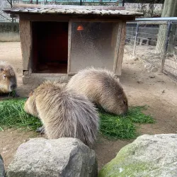 Himeji Central Park - Himeji