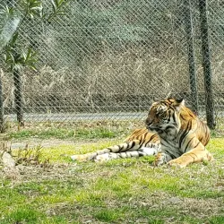Himeji Central Park - Himeji
