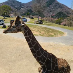 Himeji Central Park - Himeji
