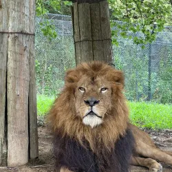 Himeji Central Park - Himeji