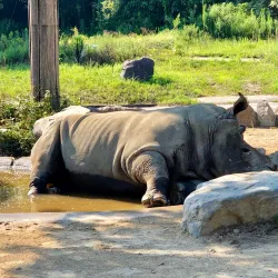 Himeji Central Park - Himeji