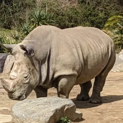 Himeji Central Park - Himeji