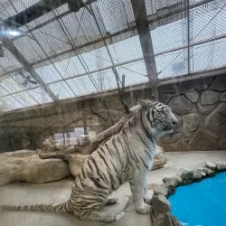 Himeji Central Park - Himeji