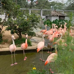 Himeji City Zoo - Himeji