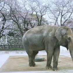 Himeji City Zoo - Himeji