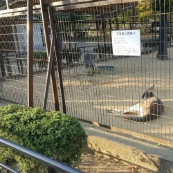 Himeji City Zoo - Himeji