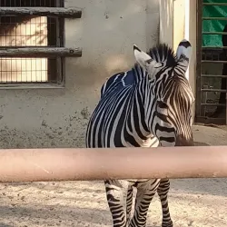 Himeji City Zoo - Himeji