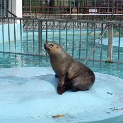 Himeji City Zoo - Himeji