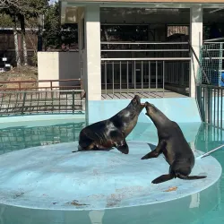 Himeji City Zoo - Himeji