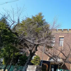 Katano City Museum of History and Folklore - Hirakata