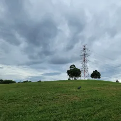 Yamadaike Pond - Hirakata