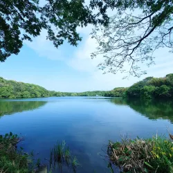 Yamadaike Pond - Hirakata