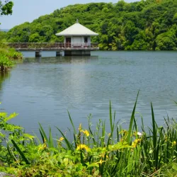 Yamadaike Pond - Hirakata