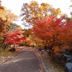 Yamadaike Pond - Hirakata