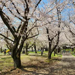 Shonan Hiratsuka Park - Hiratsuka