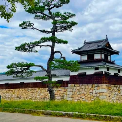 Hiroshima Castle - Hiroshima