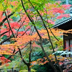 Mitaki-dera Temple - Hiroshima