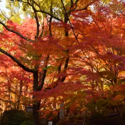 Mitaki-dera Temple - Hiroshima