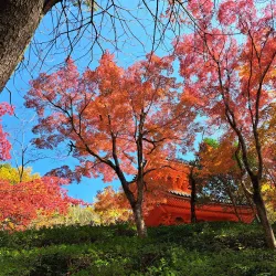 Mitaki-dera Temple - Hiroshima