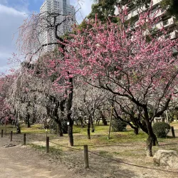 Shukkeien Garden - Hiroshima