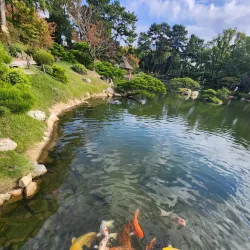 Shukkeien Garden - Hiroshima