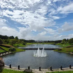 Hitachi Seaside Park - Ibaraki