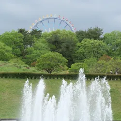 Hitachi Seaside Park - Ibaraki