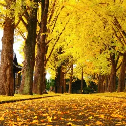 Ibaraki Prefectural Museum of History - Ibaraki