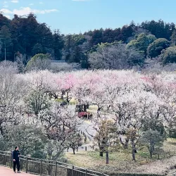 Kairakuen Garden - Ibaraki