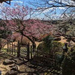 Kairakuen Garden - Ibaraki