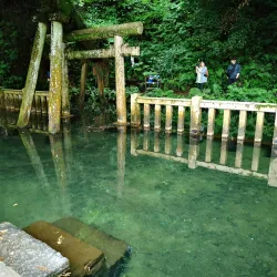 Kashima Shrine - Ibaraki
