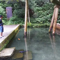 Kashima Shrine - Ibaraki