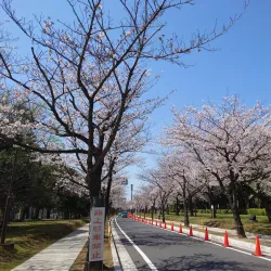 Ichihara Seaside Park - Ichihara