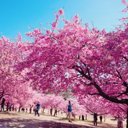 Isesaki Central Park - Isesaki