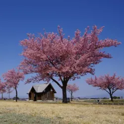 Tonegawa River Riverside Park - Isesaki