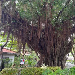Itoman City Museum of History and Folklore - Itoman