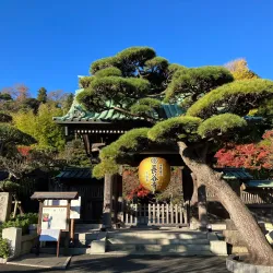 Hasedera Temple - Kamakura