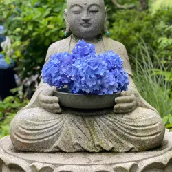 Meigetsu-in Temple - Kamakura