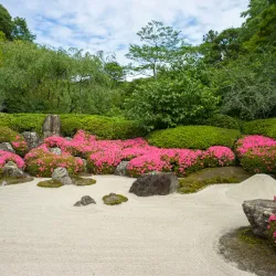 Meigetsu-in Temple - Kamakura