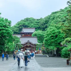 Tsurugaoka Hachimangu Shrine - Kamakura